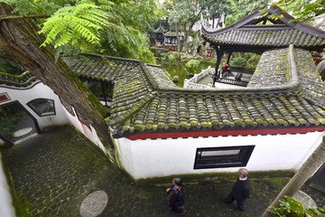 园中雅趣 