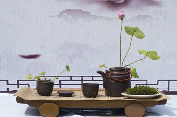 1_2017_0625_最后的洪湖荷花1679