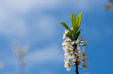 1_2018_0217_春节-6194