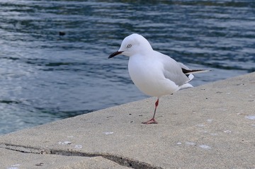 112734