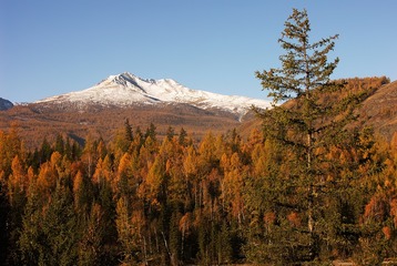 38742