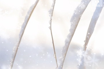 1F5D20FD-6C59-4D82-B8E9-926A12017C6E/L0/001