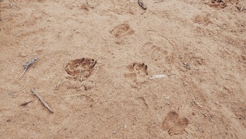 2015-01-12 104238