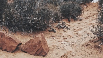 2015-01-12 104252