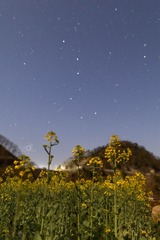 IMG_0939_