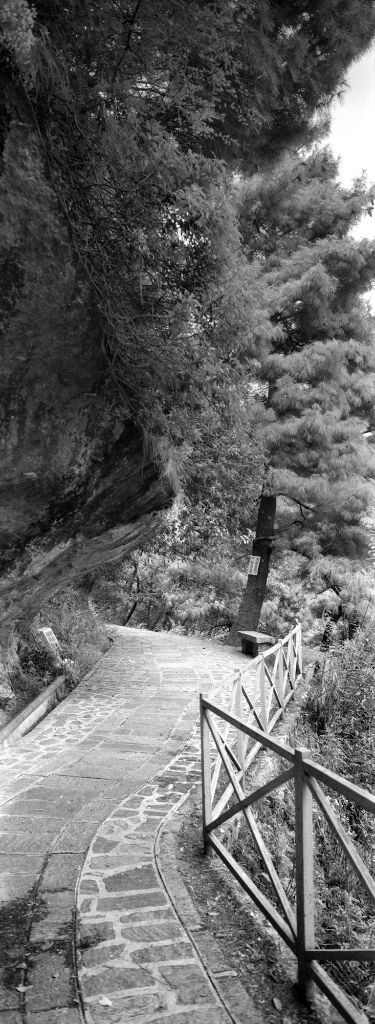 富士 Fujifilm TX-1 with 45/4<br />
Agfa CT100<br />
全谱Pacific Image 7250pro3自扫