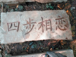 2333051