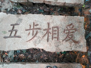 2333050