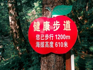 2333038