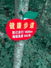 2333043