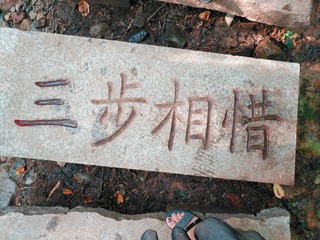 2333052