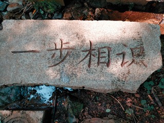 2333054