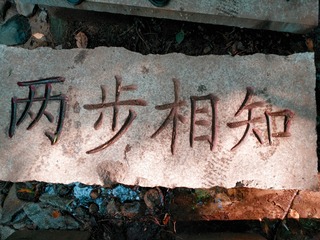 2333053