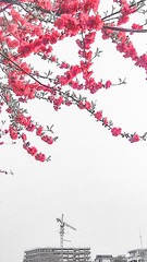 20170302_163031