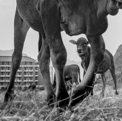 _DSC0670