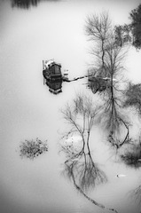 _DSC0117