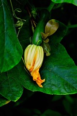 001