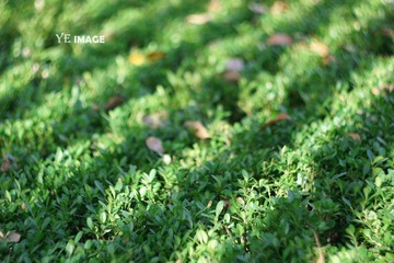 DSC005201.jpg