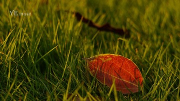 DSC00440.JPG