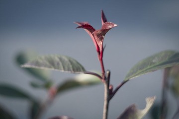 2011-02-08 011.jpg
