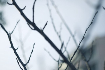 2011-02-08 010.jpg