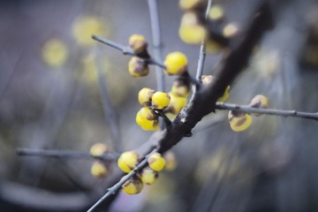 2011-02-08 0091.jpg