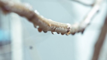 20110210 004.jpg