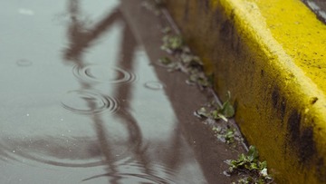 20110210 010.jpg