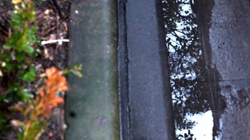 20110210 016.JPG
