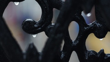 20110210 017.JPG