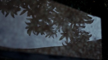 20110210 019.jpg