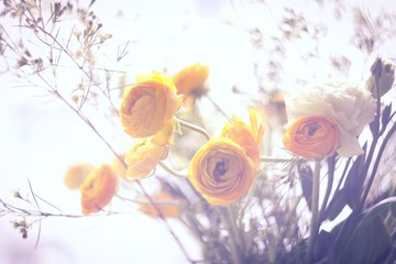 20120216 022.jpg
