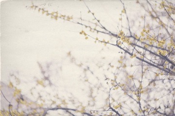 20120216 282_副本.jpg