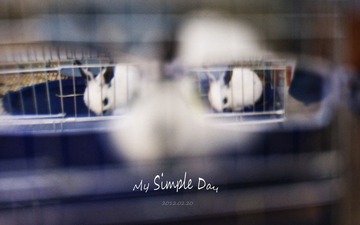 20110220 012.jpg