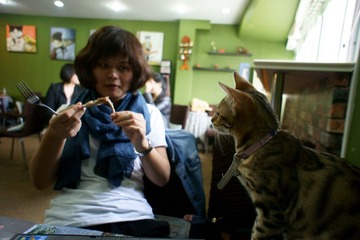 DSC01158.JPG
