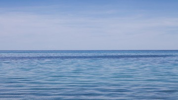 IMG_5238.jpg