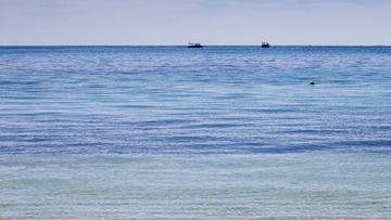 IMG_5308.jpg