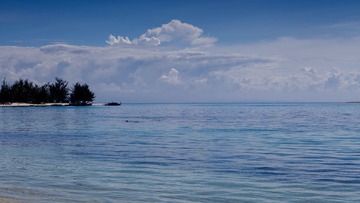 IMG_5239.jpg