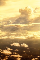 IMG_4968.jpg