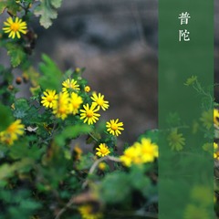 IMG_3401副本.jpg