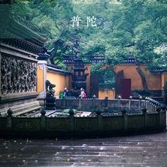 IMG_3593.jpg