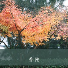 IMG_3366副本.jpg