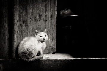 DSC_0112.jpg