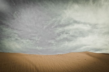 DSC_0176.jpg