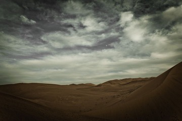 DSC_0215.jpg
