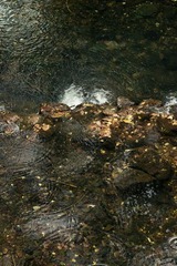 DSC_1139.jpg