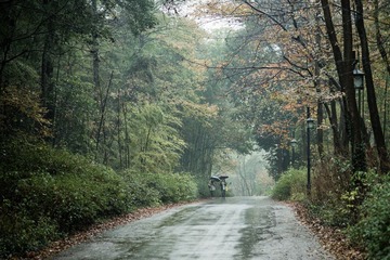 DSC_1190.jpg