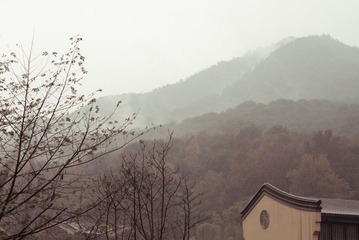 DSC_1198.jpg