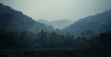 DSC_1216.jpg