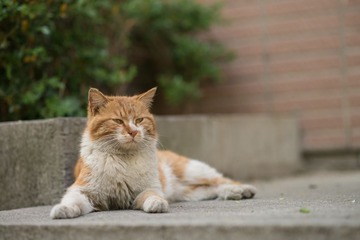 DSC_3086.jpg